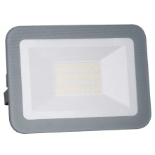 LED Proiector LED/30W/230V IP65