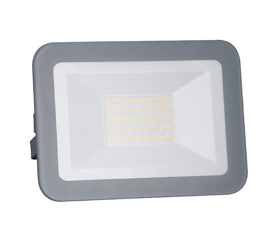 LED Proiector LED/30W/230V IP65