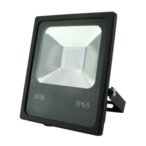 LED Proiector R1482 SANDY LED/30W/230V IP65