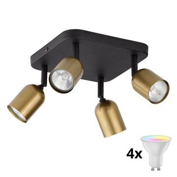 LED RGBW dimmabil spot TOP 4xGU10/6,5W/230V 2700-6500K auriu/negru
