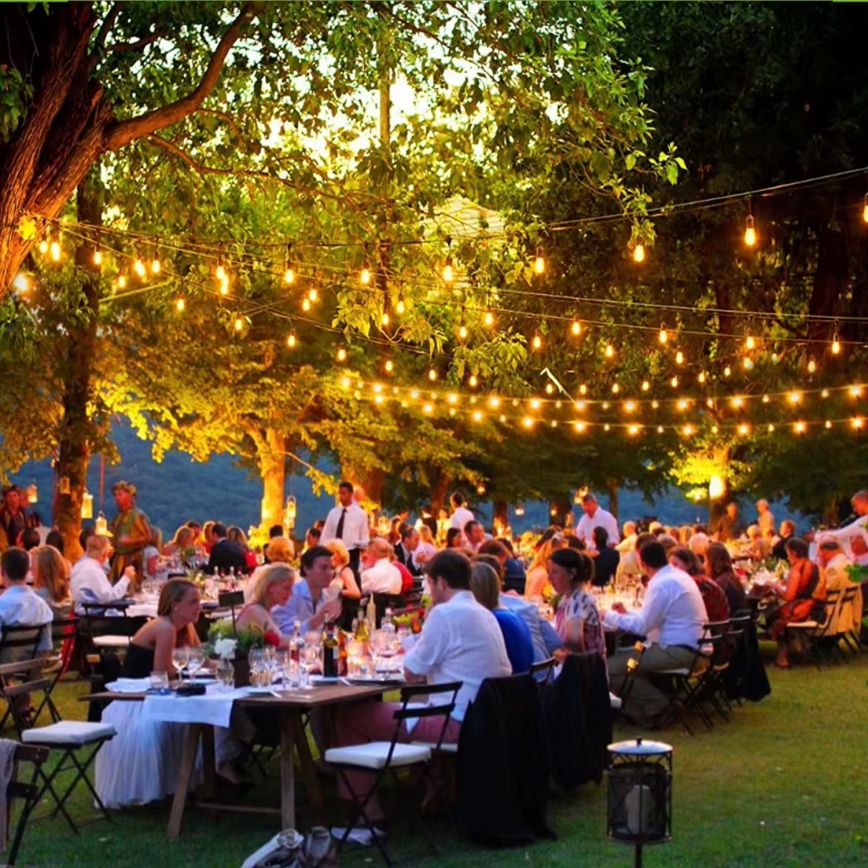 Șir decorativ LED pentru exterior 20xE27/1W/230V, 10 m, IP65, negru