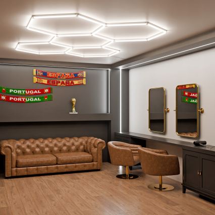 LED Plafonier dimabil HEXAGON LED/240W/85-265V 5000K 298x209 cm CRI 90 IP54 alb