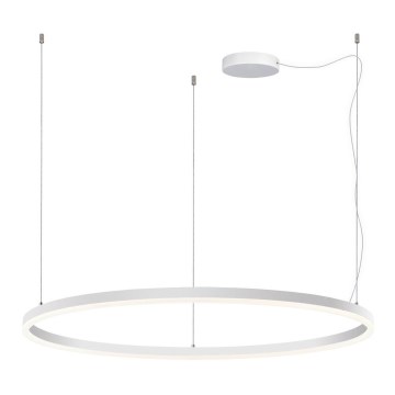 LED2 - Candelabru LED reglabil pe cablu SATURN LED/80W/230V diametru 100 cm alb