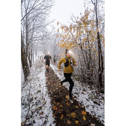 Ledlenser NEO5R - Lampă frontală reîncărcabilă cu LED, cu intensitate reglabilă, 1800 mAh, IP54, 600 lm, 35 h, albastră