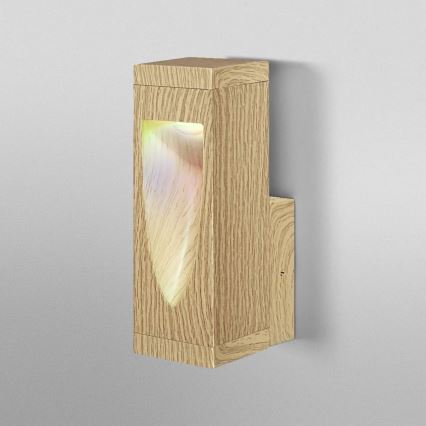 Ledvance - Aplică de perete pentru exterior SMART+ TRUCK LED RGB dimmabilă, 7,5W/230V, Wi-Fi, IP44