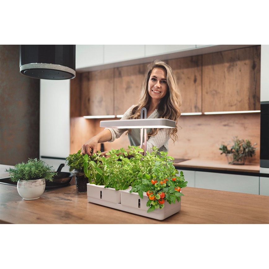 Ledvance - Lampă LED de interior pentru plante GARDEN KIT LED/24W/230V