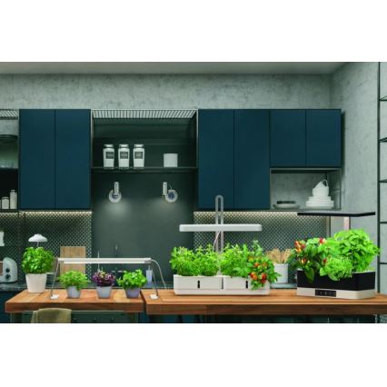 Ledvance - Lampă LED de interior pentru plante GARDEN LIGHT LED/14W/230V