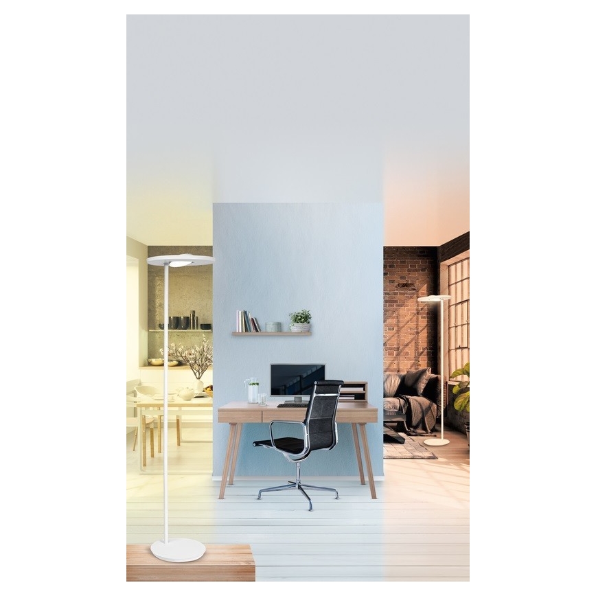 Ledvance - Lampă de podea LED reglabilă SUN@HOME LED/36W/230V 2200-5000K CRI 95 Wi-Fi