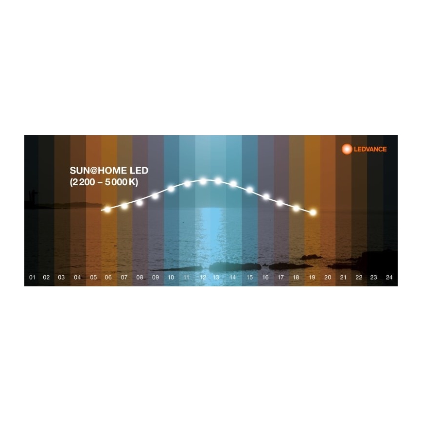 Ledvance - Lampă de podea LED reglabilă SUN@HOME LED/36W/230V 2200-5000K CRI 95 Wi-Fi