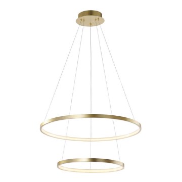 Leuchten Direkt 11525-12 -Lustră LED pe cablu CIRCLE LED/18,5W/230V + LED/23,5W