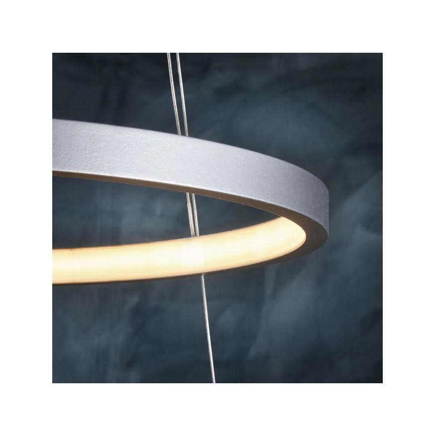 Leuchten Direkt 11525-21 - Lustră LED pe cablu CIRCLE 1xLED/15W/230V + LED/25W