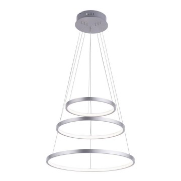 Leuchten Direkt 11526-55 - Lustră suspendată LED dimabilă CIRCLE pe cablu, LED/13,5W/230V + LED/19,5W + LED/24W