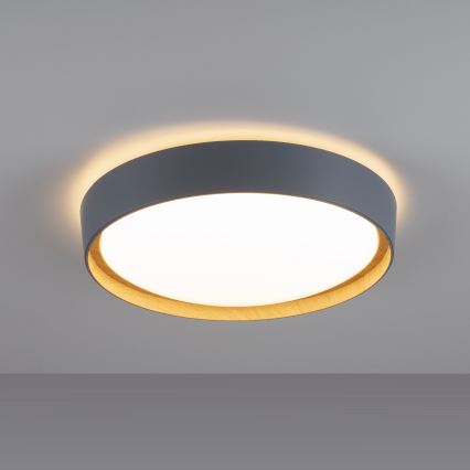 Leuchten Direkt 14347-15 - Plafonieră LED reglabilă EMILIA LED/28,8W/230V gri