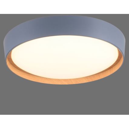 Leuchten Direkt 14347-15 - Plafonieră LED reglabilă EMILIA LED/28,8W/230V gri