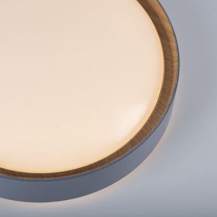 Leuchten Direkt 14347-15 - Plafonieră LED reglabilă EMILIA LED/28,8W/230V gri