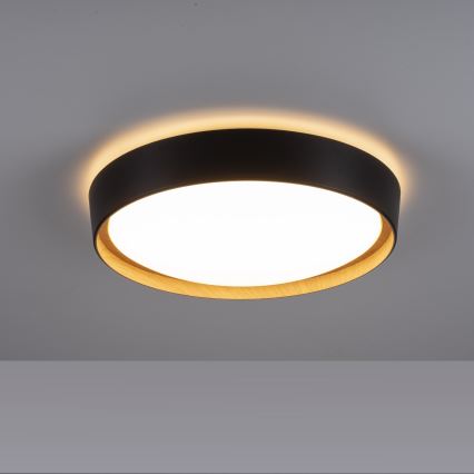 Leuchten Direkt 14347-18 - Lampă LED reglabilă EMILIA LED/28,8W/230V negru