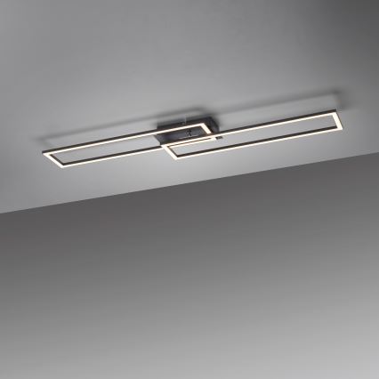 Leuchten Direkt 14691-18 - Plafonier LED dimabil IVEN LED/36W/230V