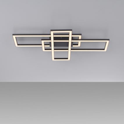 Leuchten Direkt 14697-18 - Plafonier LED reglabil IVEN LED/24W/230V