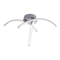 Leuchten Direkt 15341-55 - Plafonieră LED VALERIE 3xLED/3,7W/230V