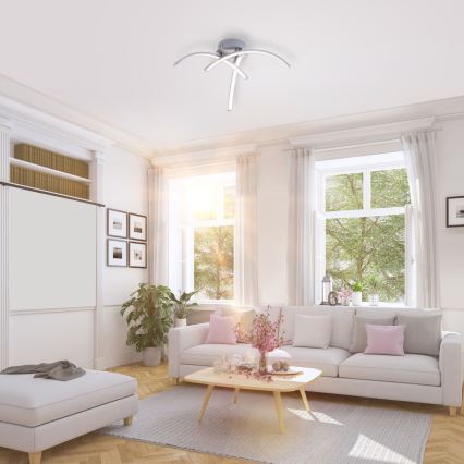 Leuchten Direkt 15341-55 - Plafonieră LED VALERIE 3xLED/3,7W/230V