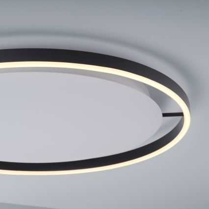 Leuchten Direkt 15392-13 - Plafonieră LED dimabilă RITUS LED/28W/230V neagră