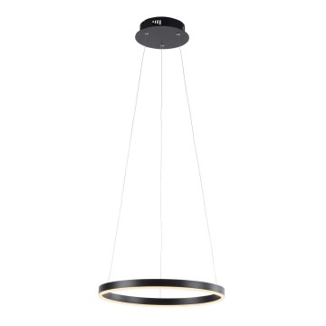 Leuchten Direkt 15393-13 - Candelabru LED reglabil suspendat pe cablu RITUS LED/23,5W/230V negru