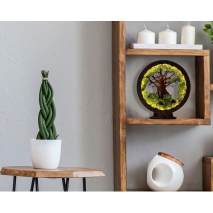 Li-Go 23604/DUB2 - Lampă de masă LED reglabilă LED/12W/230V 20x22 cm stejar/mușchi și copac