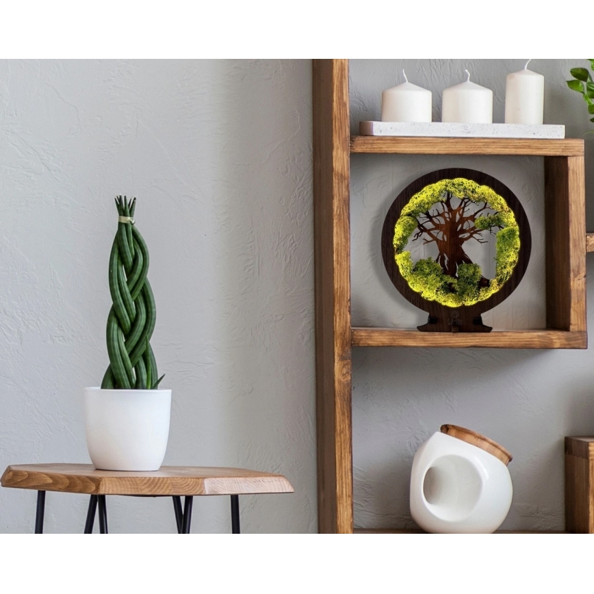 Li-Go 23631/DUB2 - Decorațiune LED de masă reglabilă, LED/12W/230V, 30x31 cm, stejar/mușchi și copac