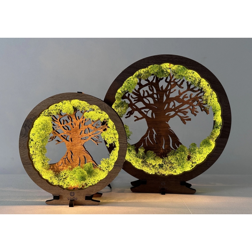 Li-Go 23631/DUB2 - Decorațiune LED de masă reglabilă, LED/12W/230V, 30x31 cm, stejar/mușchi și copac