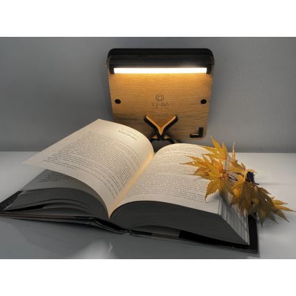 Li-Go 4070/DUB2 - Decorațiune de masă LED, 12W, 230V, 19x19 cm, stejar/cal