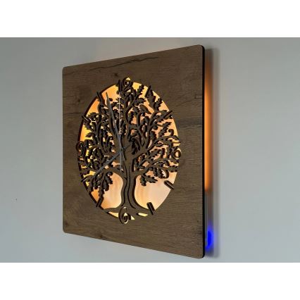 Li-Go 5652/DUB2 - Ceas LED dimabil LED/10W/5V 20000 mAh 42x42 cm stejar/Stejar în cerc + telecomandă