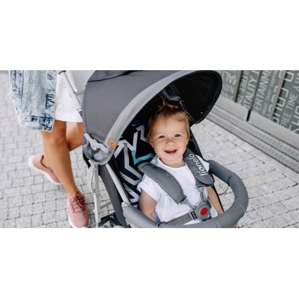 Lionelo - cărucior tip umbrelă ELIA, gri