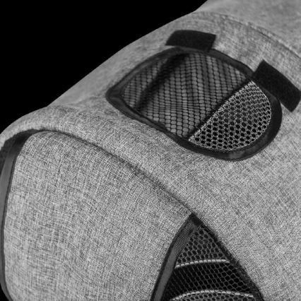 Lionelo - Tricicletă pentru copii TRIS, gri