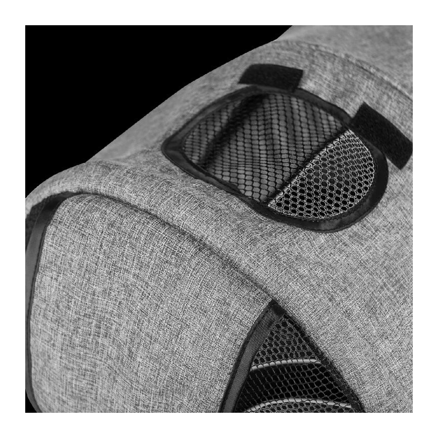 Lionelo - Tricicletă pentru copii TRIS, gri