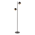 Lucide 03703/10/30 - Lampadar LED SKANSKA-LED 2xLED/5W/230V negru