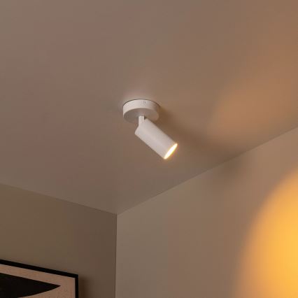 Lucide 09939/01/31 - Aplică spot de perete CLUBS 1xGU10/40W/230V albă