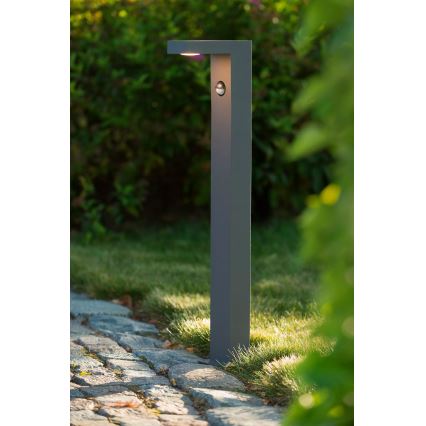 Lucide 28851/61/30 - LED lampa exterior cu senzor TEXAS-IR LED/6W/230V IP54