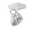 Lucide 31930/12/31 - Lampa spot LED TALA LED 1xG53/12W/230V/12V