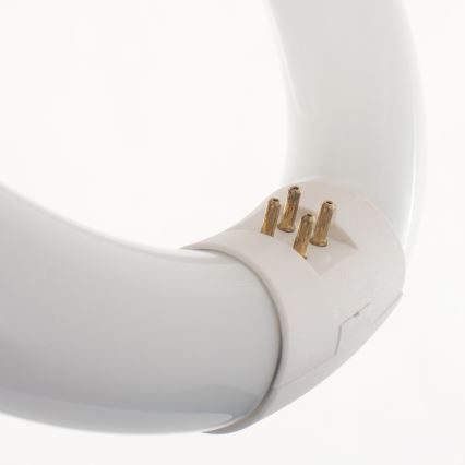 Lucide 50300/22/33 - Tub fluorescent circular G10q/22W/230V 4000K