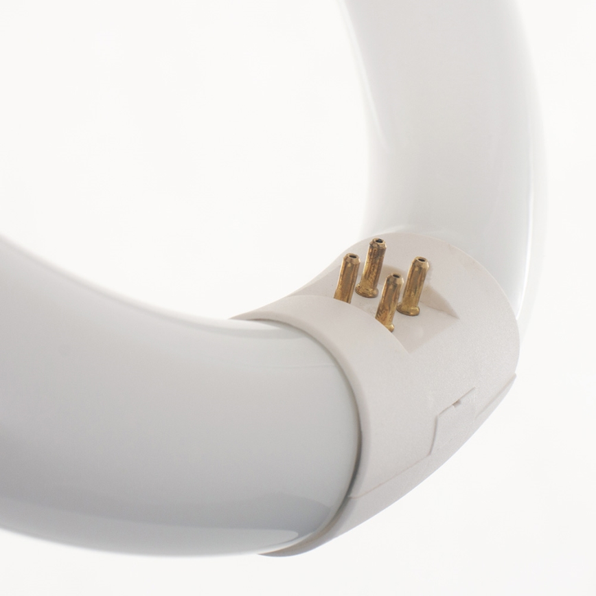 Lucide 50300/22/33 - Tub fluorescent circular G10q/22W/230V 4000K