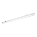 LUMEXO, corp LED tehnic tip tub (înlocuitor pentru fluorescent), 50 W, 230 V, 4000 K, IP65, 151 cm