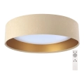 Lumină de plafon LED reglabilă SMART GALAXY LED/24W/230V diametru 44 cm bej/auriu 3000-6500K + telecomandă