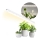 Lumină LED subliniară pentru cultivarea plantelor GROWLY LED/15W/230V