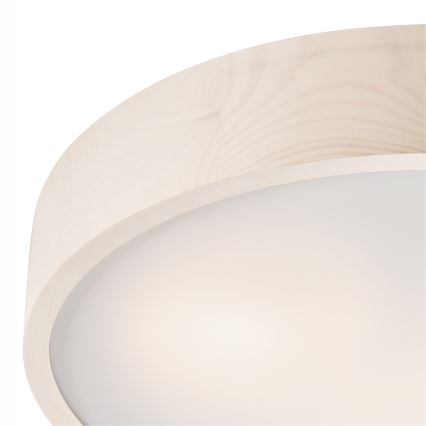 Lustr de tavan 3xE27/60W/230V pin