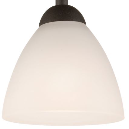 Lustr aplicat ADRIANO 1xE27/60W/230V fag