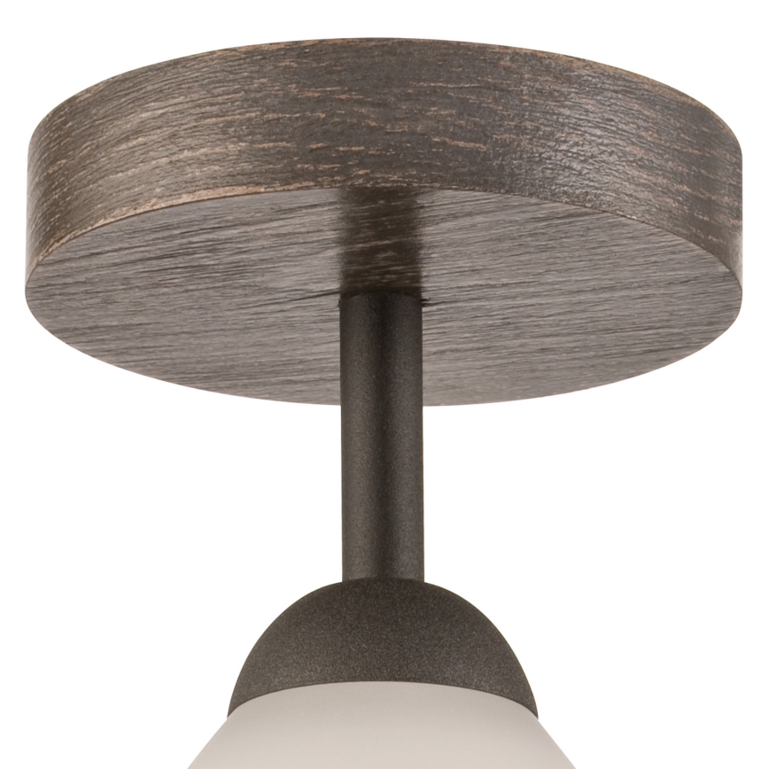 Lustr aplicat ADRIANO 1xE27/60W/230V fag