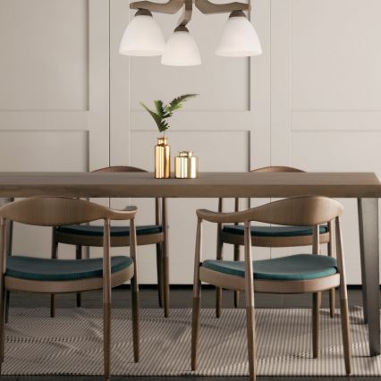 Lustr montat pe tavan ADRIANO 3xE27/60W/230V fag