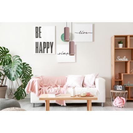 Candelabru suspendat pe cablu AVALO 2xE27/60W/230V diametru 20 cm roz/maro cupru