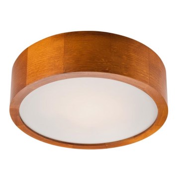 Lustr de tavan 1xE27/60W/230V pin