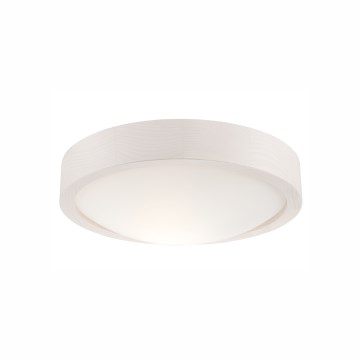 Lustr de tavan 1xE27/60W/230V pin